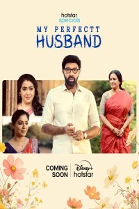 My Perfectt Husband (2024) Hindi Season 01